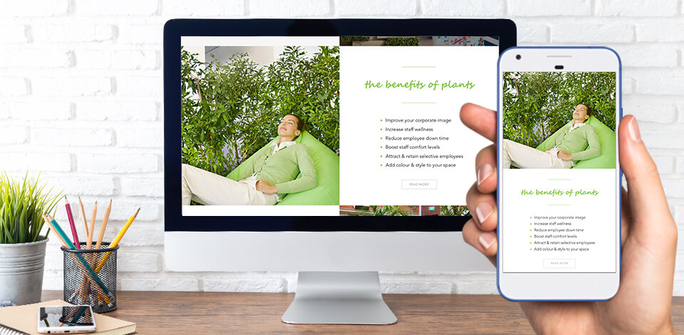 IEQ Indoor Plants - Website Design