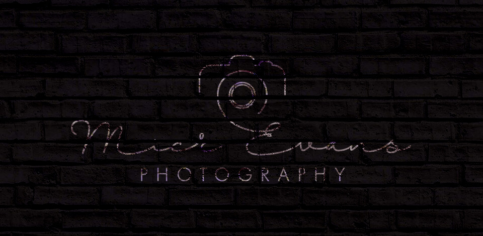 Mick-Evans-Photography-Logo-Design