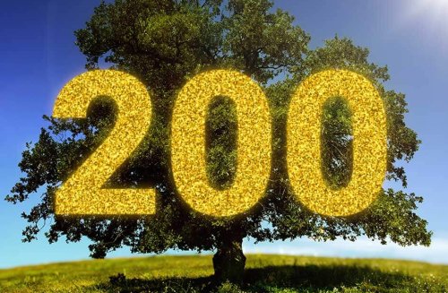 Puro Design donated 200 trees