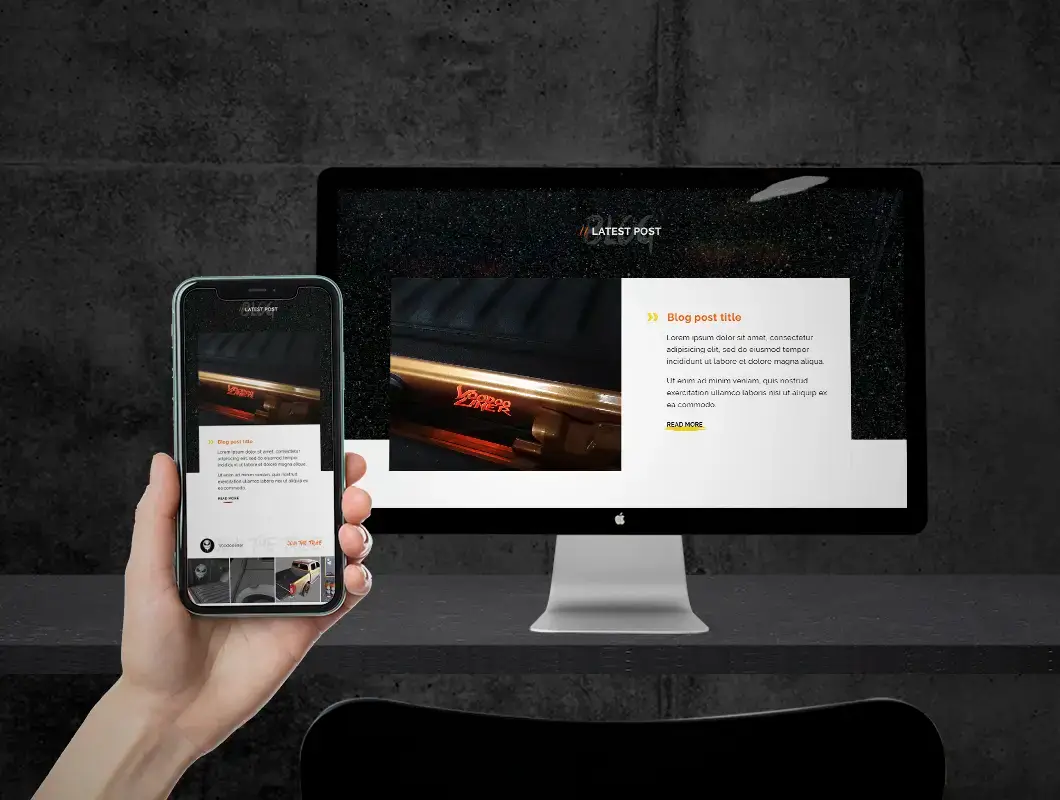 eCommerce Website Design Voodoo Liner